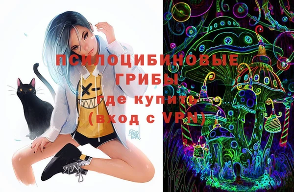 прущая мука Кинешма