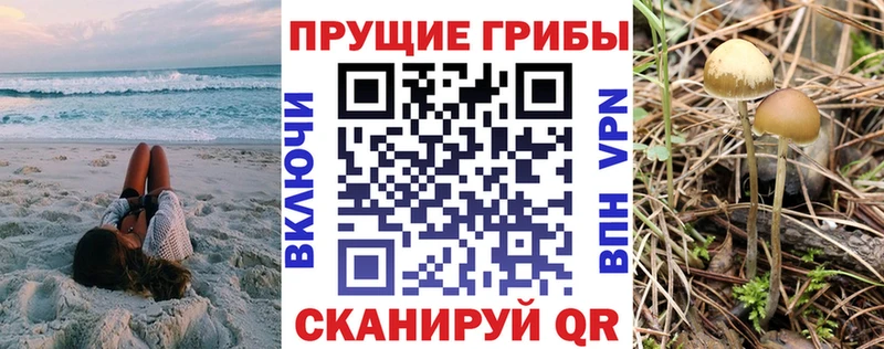 Купить где  Выкса  Псилоцибиновые грибы ЛСД 